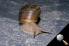 DSC_2108.jpg