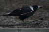 DSC_1676.jpg