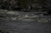 DSC_0071_2.jpg