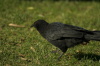 DSC_6944.jpg