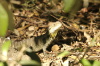 DSC_2135.jpg