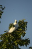 DSC_5693.jpg