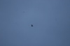 DSC_5441.jpg