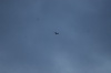 DSC_5449.jpg