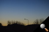 DSC_9122.jpg