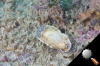 DSC_9258.jpg