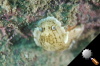 DSC_9264.jpg