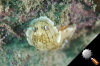 DSC_9265.jpg