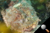 DSC_9268.jpg