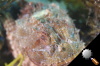 DSC_9269.jpg