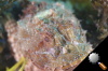 DSC_9270.jpg