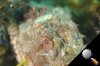 DSC_9271.jpg