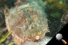 DSC_9272.jpg
