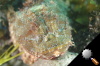DSC_9273.jpg