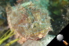 DSC_9274.jpg