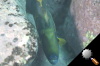 DSC_9282.jpg