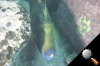 DSC_9283.jpg