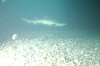 DSC_6777.jpg