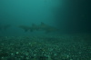DSC_6780.jpg