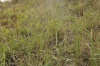 DSC_6131.jpg