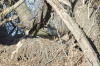 DSC_8483.jpg