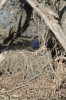 DSC_8486.jpg