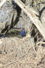 DSC_8487.jpg