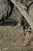 DSC_8488.jpg