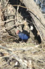 DSC_8495.jpg
