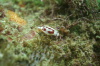 DSC_1568.jpg