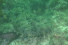 DSC_1587.jpg