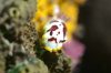 DSC_1591.jpg