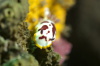 DSC_1592.jpg