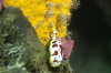 DSC_1596.jpg