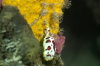 DSC_1597.jpg
