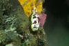 DSC_1599.jpg