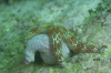 DSC_1609.jpg