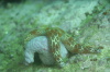 DSC_1611.jpg
