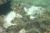 DSC_1614.jpg