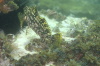 DSC_1615.jpg