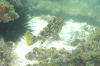 DSC_1617.jpg