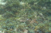DSC_1620.jpg