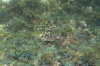 DSC_1623.jpg
