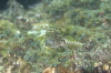 DSC_1625.jpg