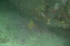 DSC_1647.jpg