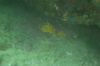 DSC_1648.jpg