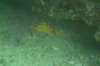 DSC_1649.jpg