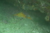 DSC_1650.jpg