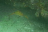 DSC_1651.jpg