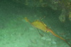 DSC_1653.jpg